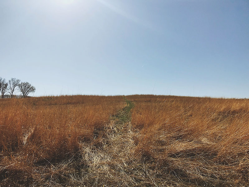 A path to a Maplewood State Park lookout point.