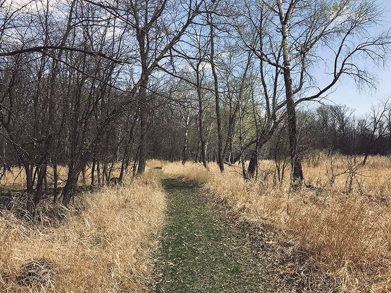 Trail at Glendalough State Park.