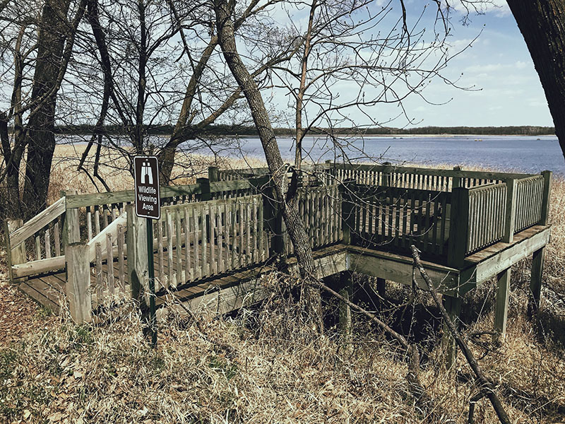 Wildlife viewing area at Glendalough State Park.