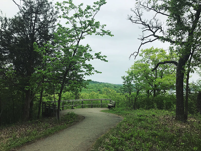 Lookout at Afton State Park.