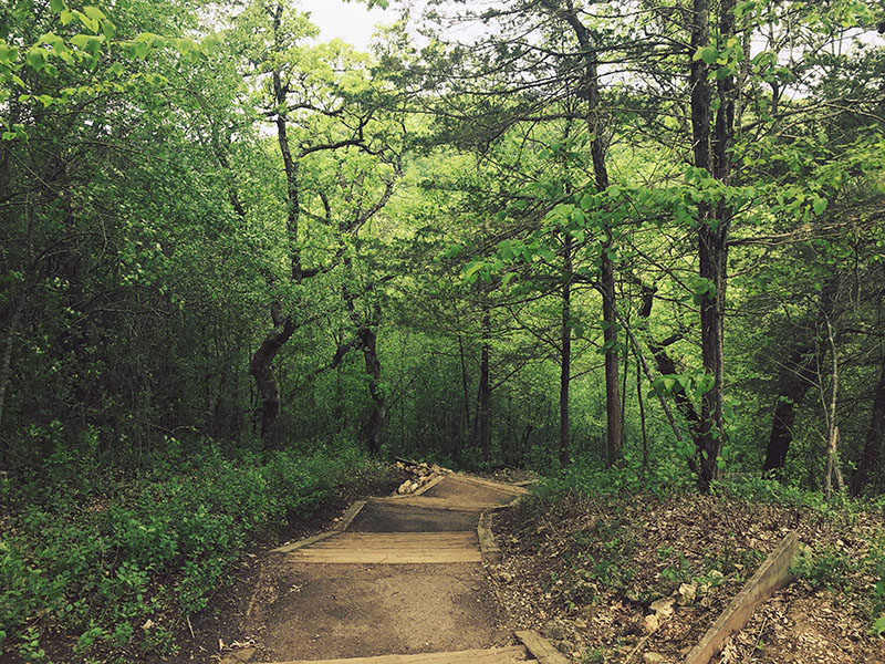 Fun set of stairs at Aspen State Park.