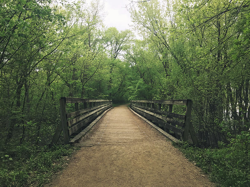 Railroad bridges at Afton State Park.