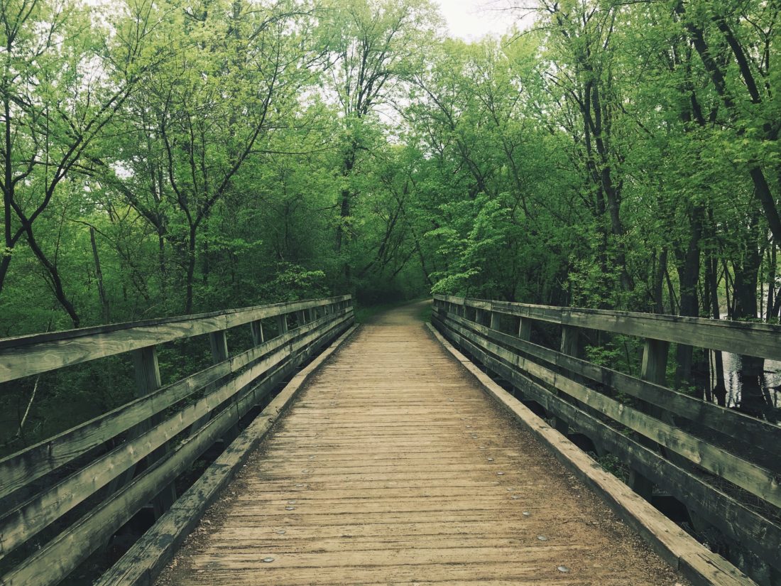 Railroad bridge at Afton State Park.