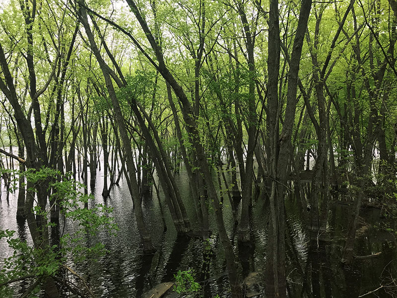 Flooded beaches along the St. Croix river.