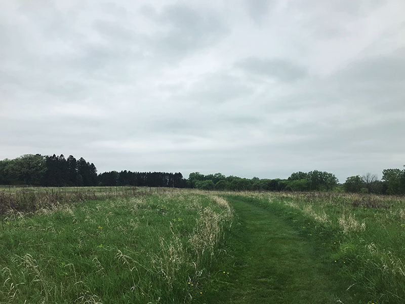 The prairie-like landscape on the hill was beautiful.