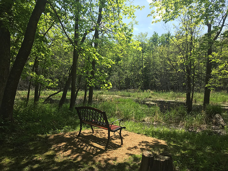 A pond at Father Hennepin State Park has a nice bench to take in the view.