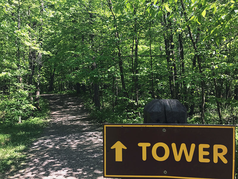 Sign leading to the observation tower at Mille Lacs Kathio.