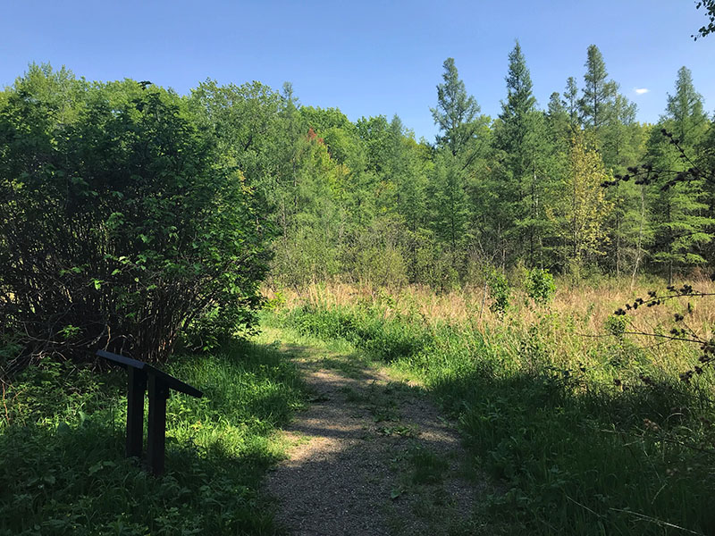 Several farmsteads once stood where the Landmark Trail is at Mille Lacs Kathio State Park.