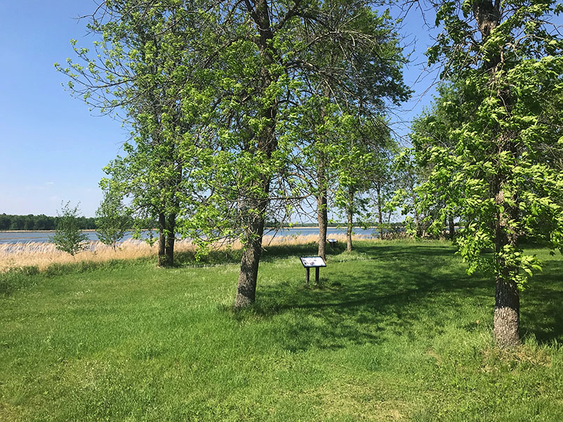 Near Ogechie Lake at Mill Lacs Kathio State Park.