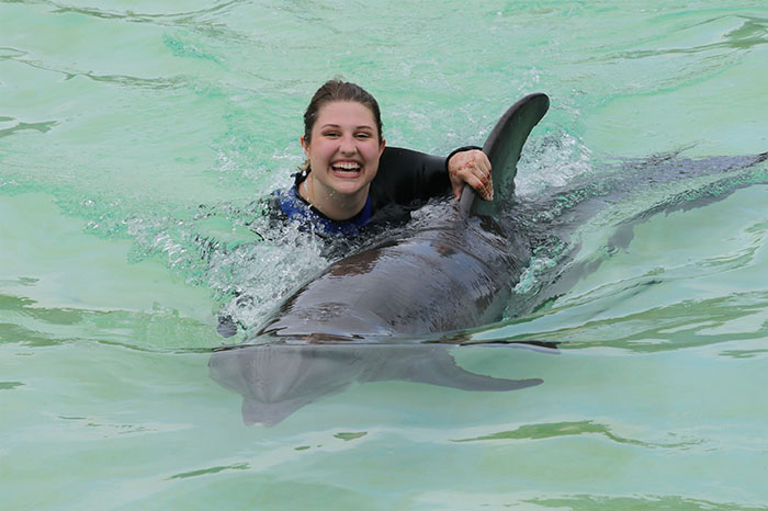 Swimming with dolphins is definitely one of the highlights of my life.