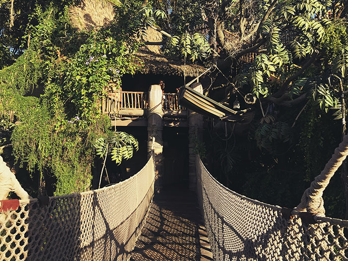 You all know that I lov a good bridge - especially at Disneyland.