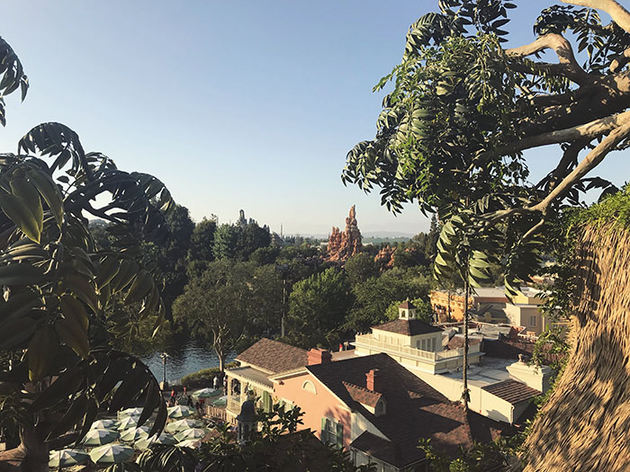 View from the top of Tarzan’s Treehouse.