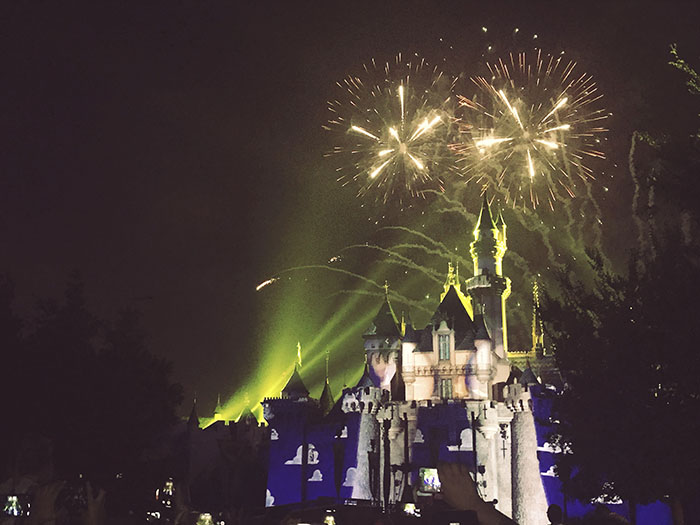 The fireworks at Disney are a must see.