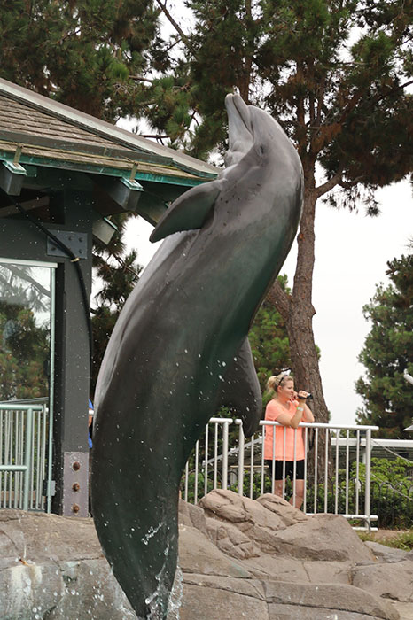 The dolphins at SeaWorld were the best thing at SeaWorld.