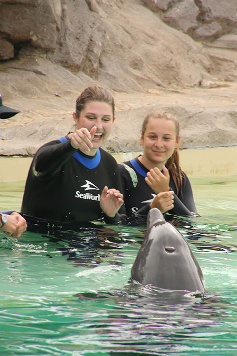 Here I am, excitedly tossing a small slimy fish to a happy dolphin.