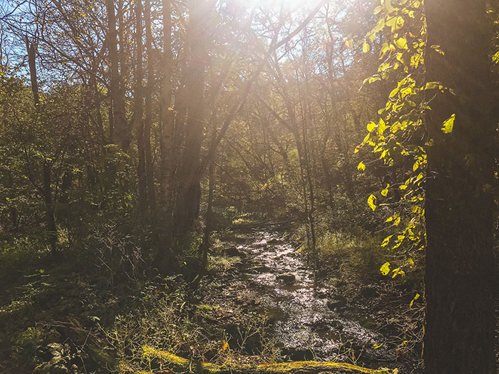 The creeks were numerous and beautiful.