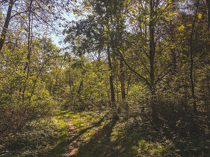 The trails were simple, yet very beautiful.