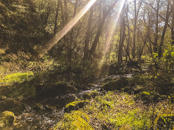 This spot was like something out of a fairytale.