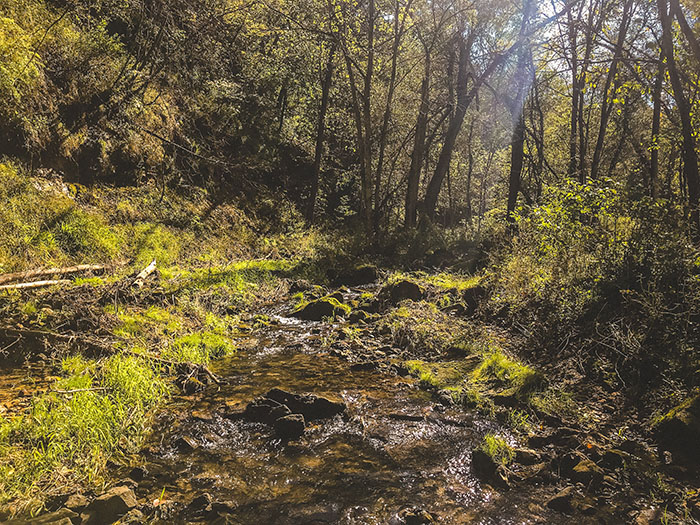 The Big Spring Creek was lovely.