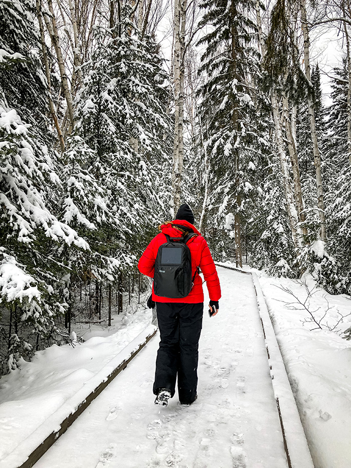 The trees along the North Shore were beautifully dusted with snow.