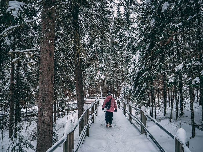 The trail to the waterfall was incredibly peaceful.