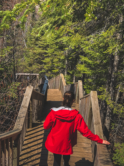 Judge C.R. Magney State Park.