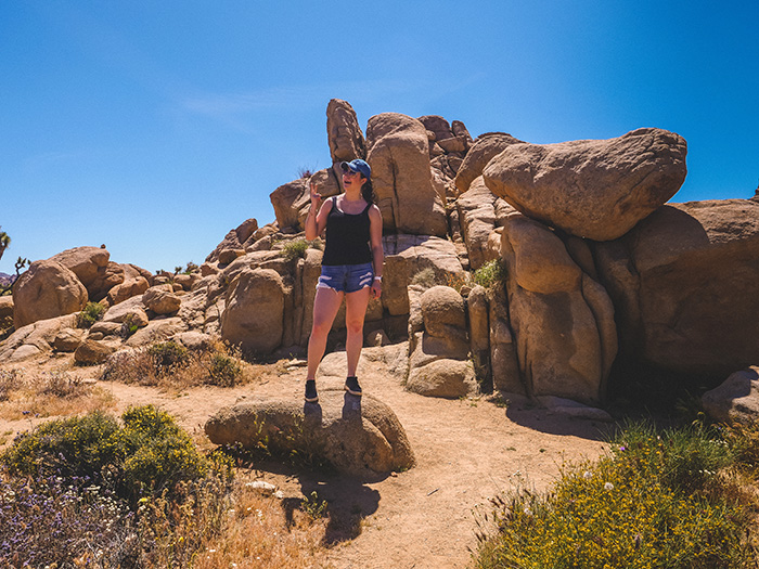 Joshua Tree National Park.