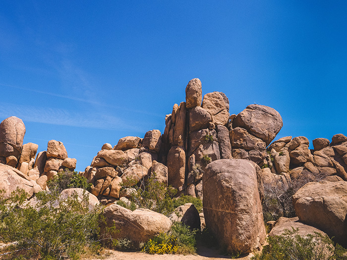 Joshua Tree National Park.