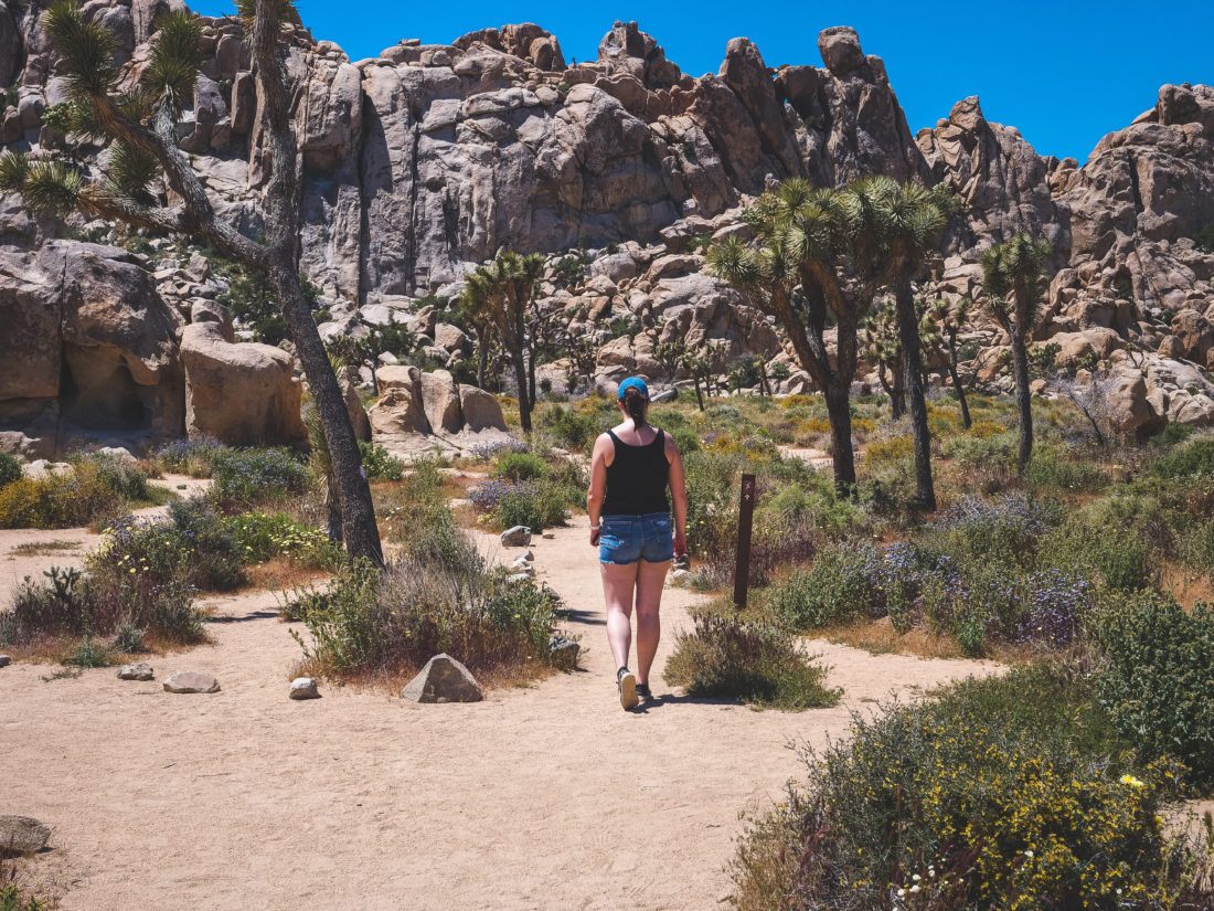 Joshua Tree National Park.