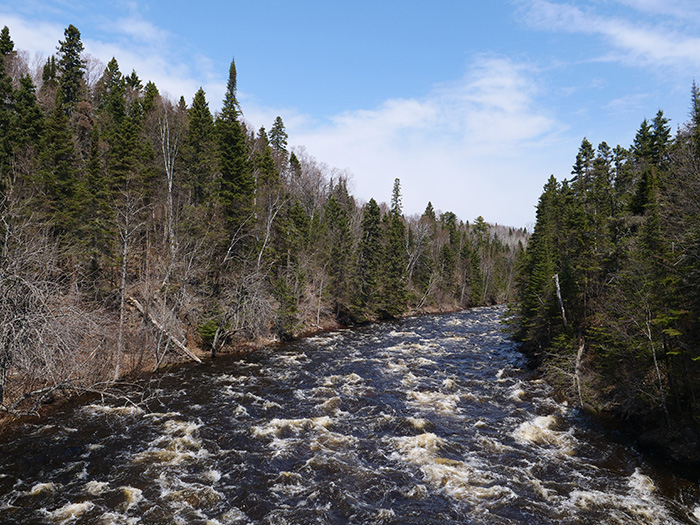 Judge C.R. Magney State Park.