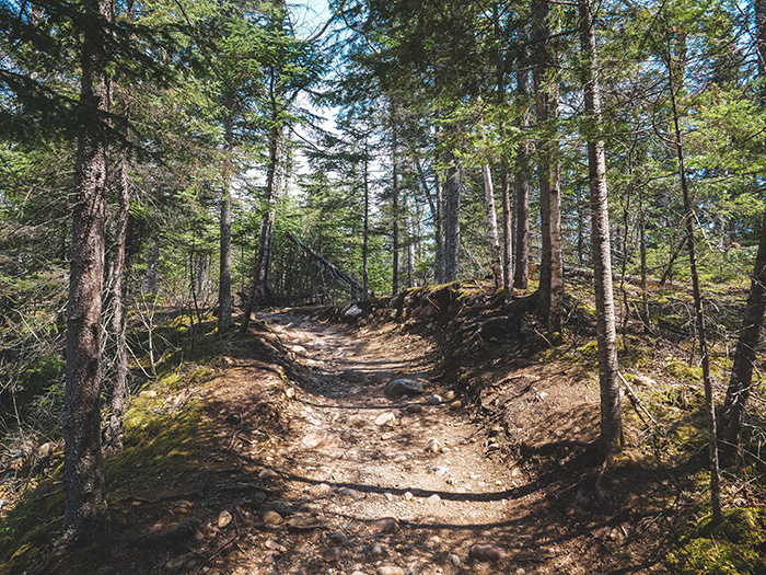 Judge C.R. Magney State Park.