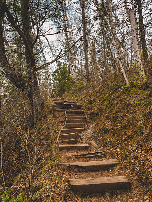 Jay Cooke State Park.