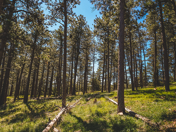 Chautauqua Park.