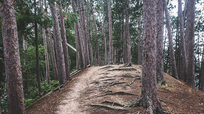 Scenic State Park