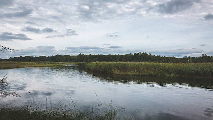 Schoolcraft State Park