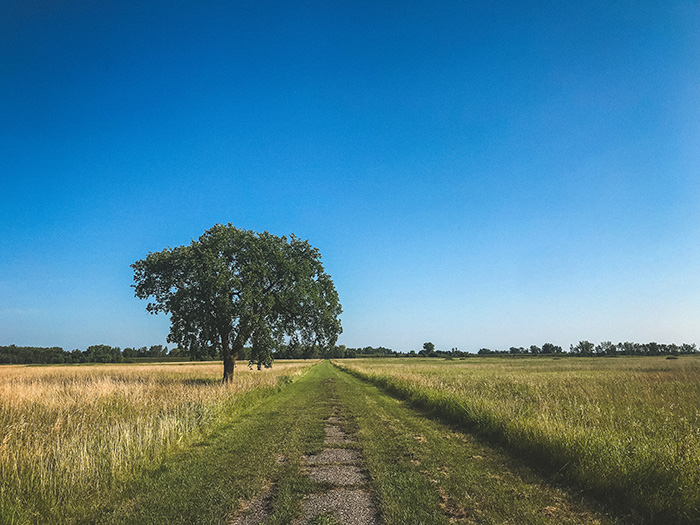 Buffalo River State Park