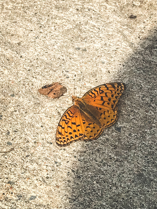 Hayes Lake State Park