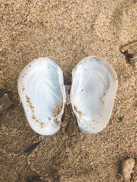 Zippel Bay State Park