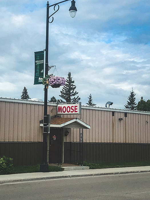 Moose shop