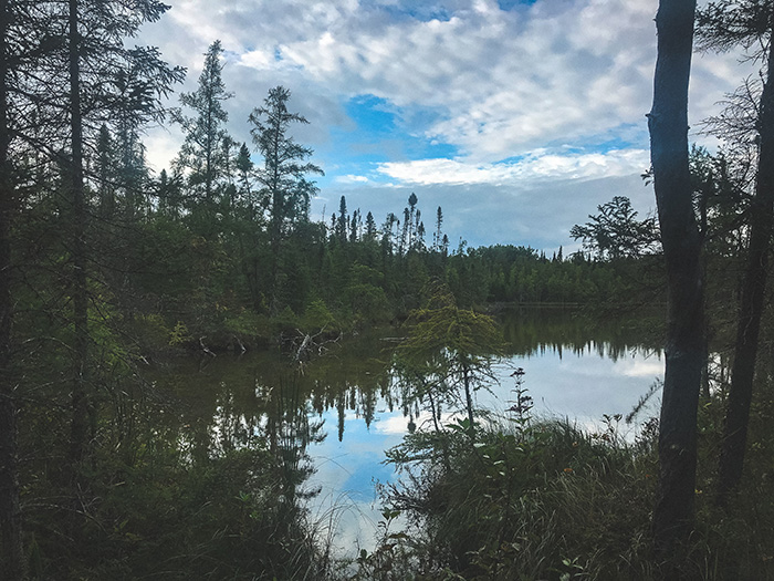 Lake Bemidji State Park