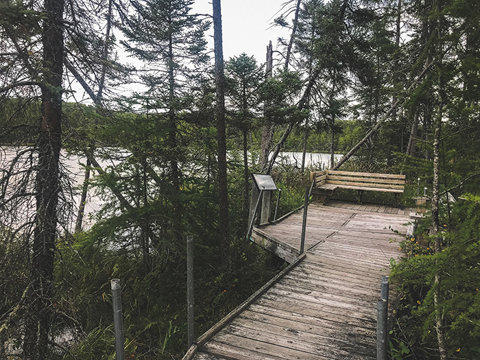 Lake Bemidji State Park