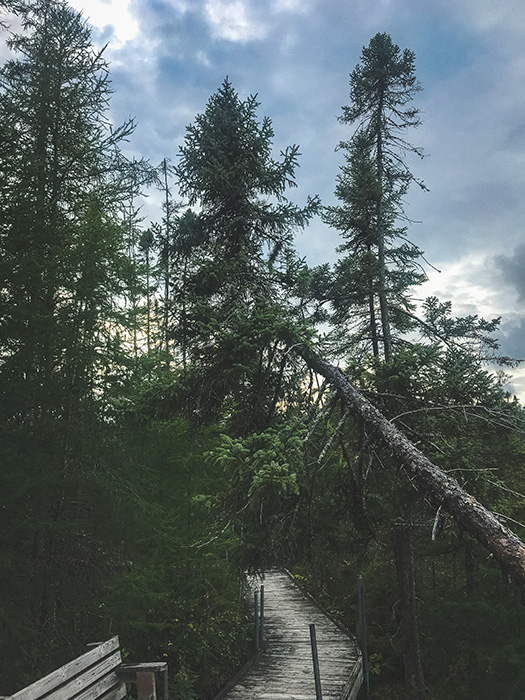 Lake Bemidji State Park