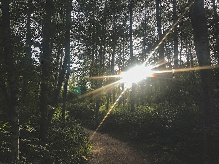 Lake Bemidji State Park