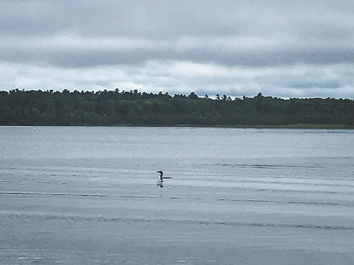 Scenic State Park