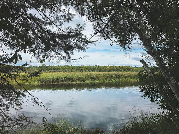 Schoolcraft State Park