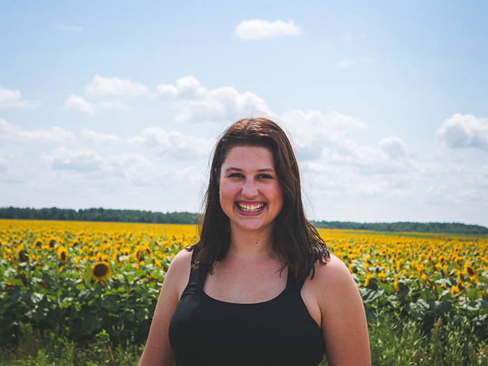 Sunflower fields