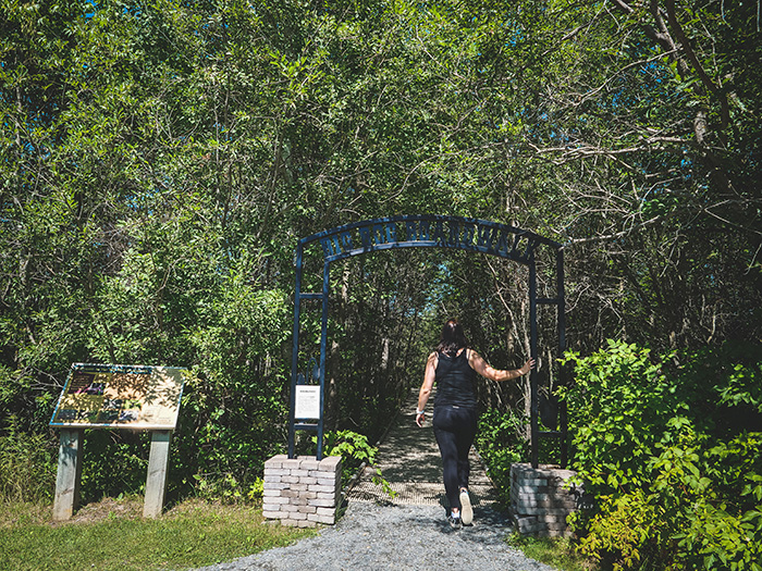 Big Bog State Park