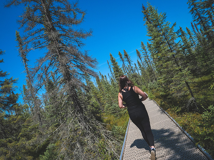 Big Bog State Park