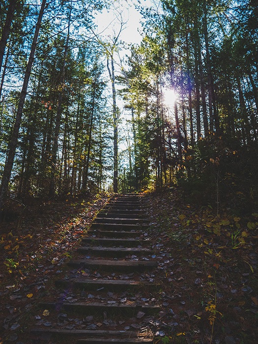 Bear Head Lake State Park