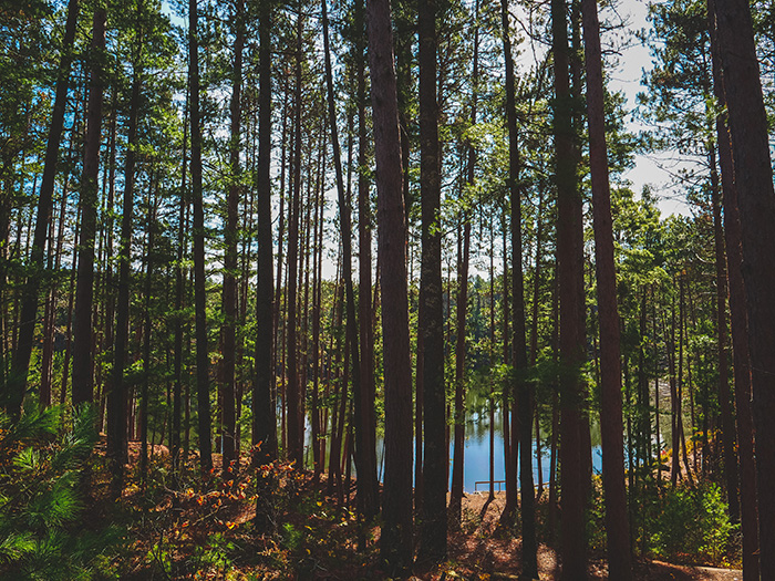 Bear Head Lake State Park